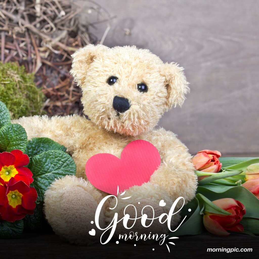 Good Morning Teddy Bear Images Brighten Up Your Day