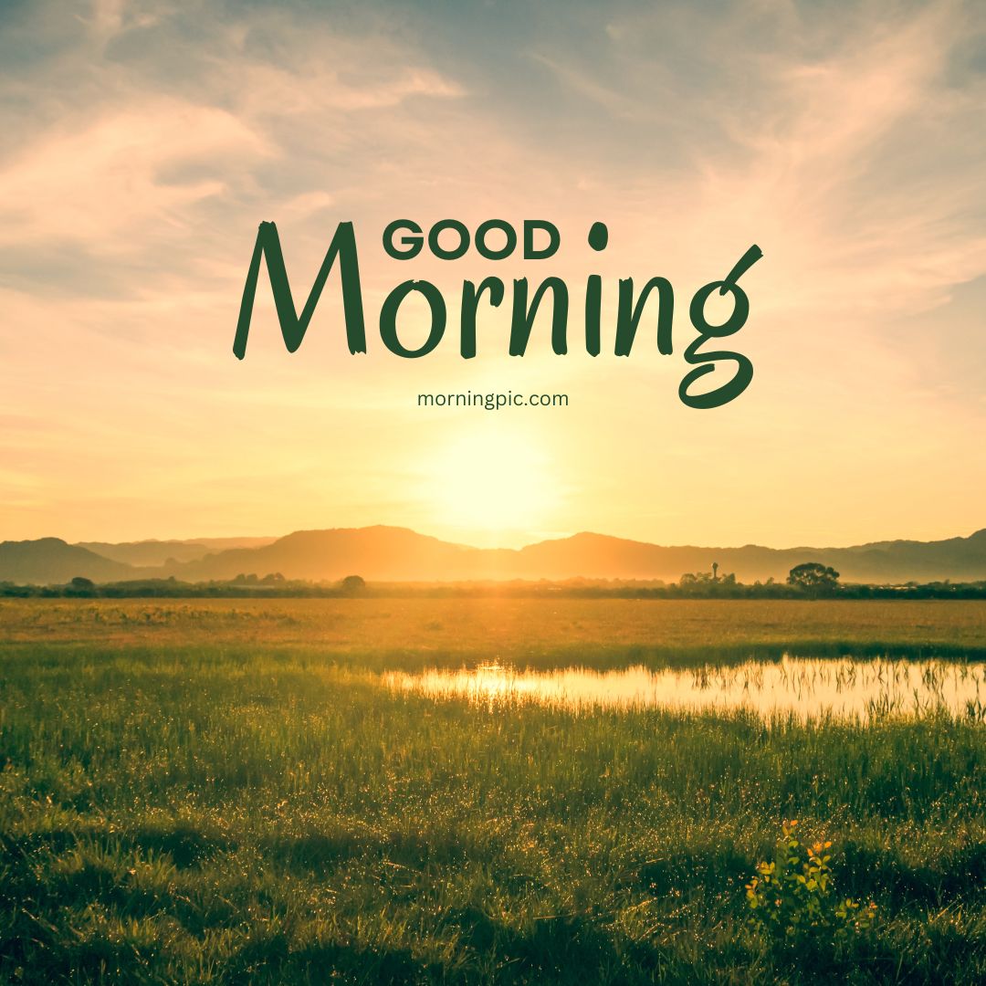 Good Morning Nature Wallpapers  Top Free Good Morning Nature Backgrounds   WallpaperAccess