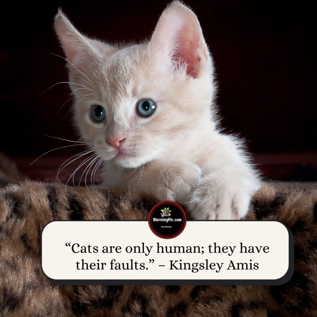 200+ Adorable Inspirational Cat Quotes That Will Make You Happy ...