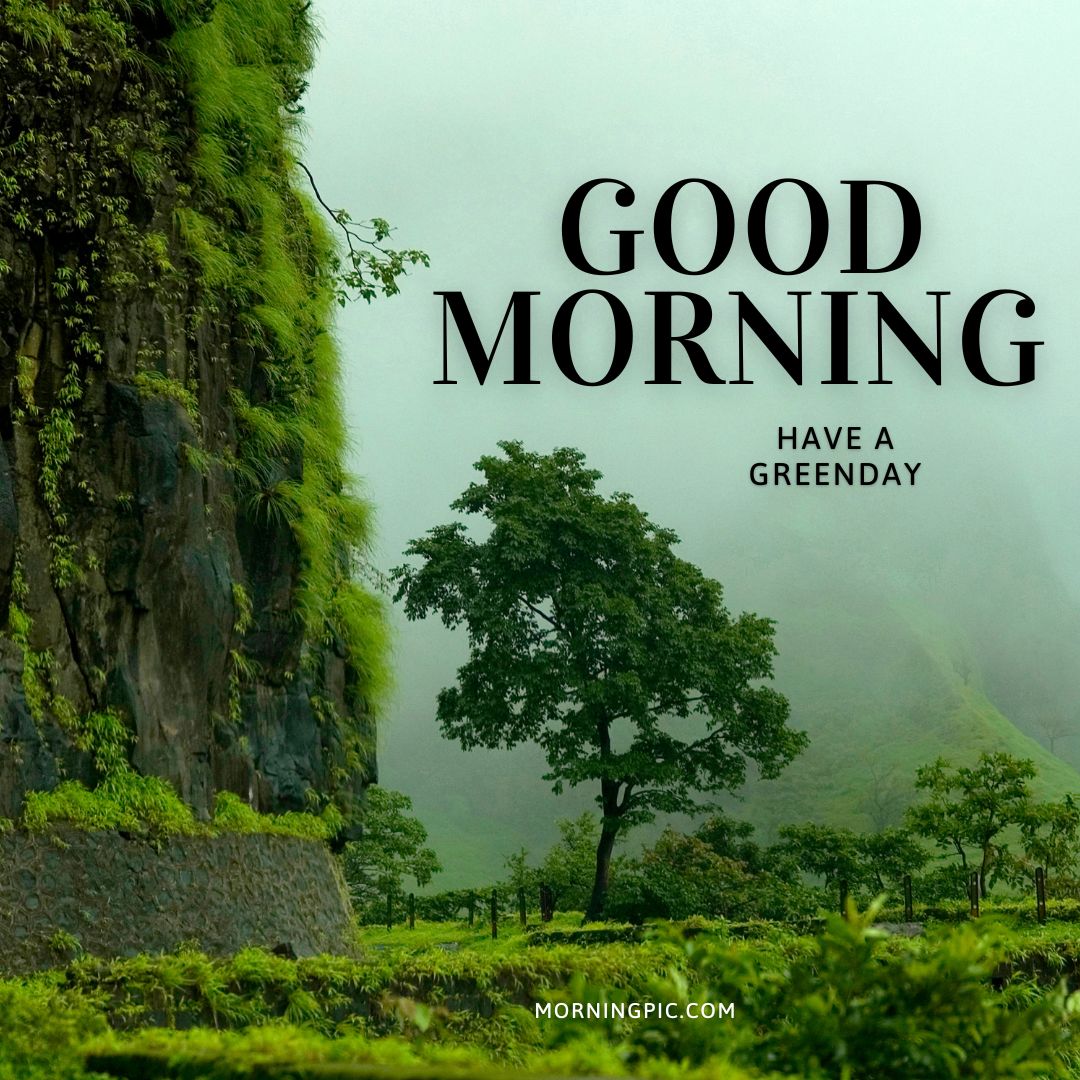 A Stunning Collection of Nature Good Morning Images in Full 4K Resolution – Over 999+ Available!