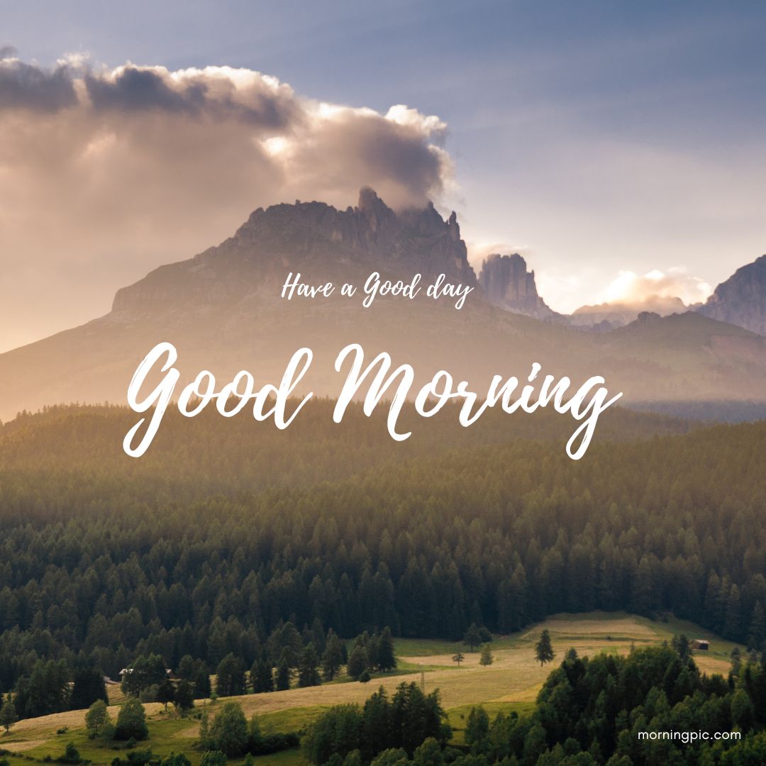 210+ Best Good Morning Nature Images To Refresh Your Soul