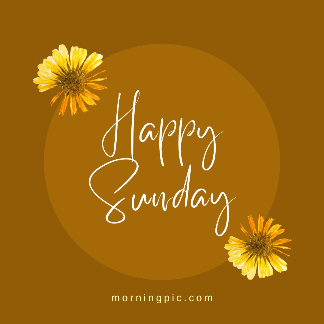 Collection of Over 999+ HD Images for a Happy Sunday – Impressive 4K Quality Happy Sunday Images