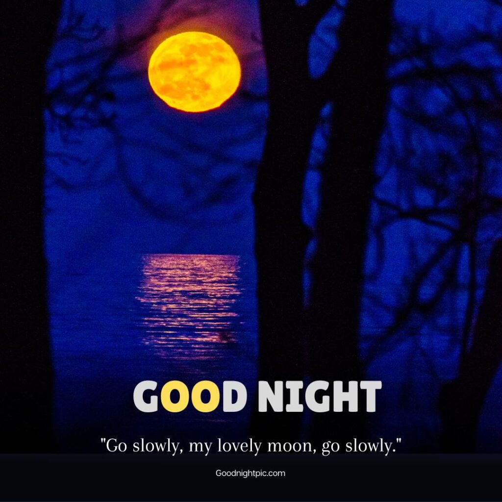 120+ Good Night Moon Images to Share with Your Loved Ones - Morning Pic