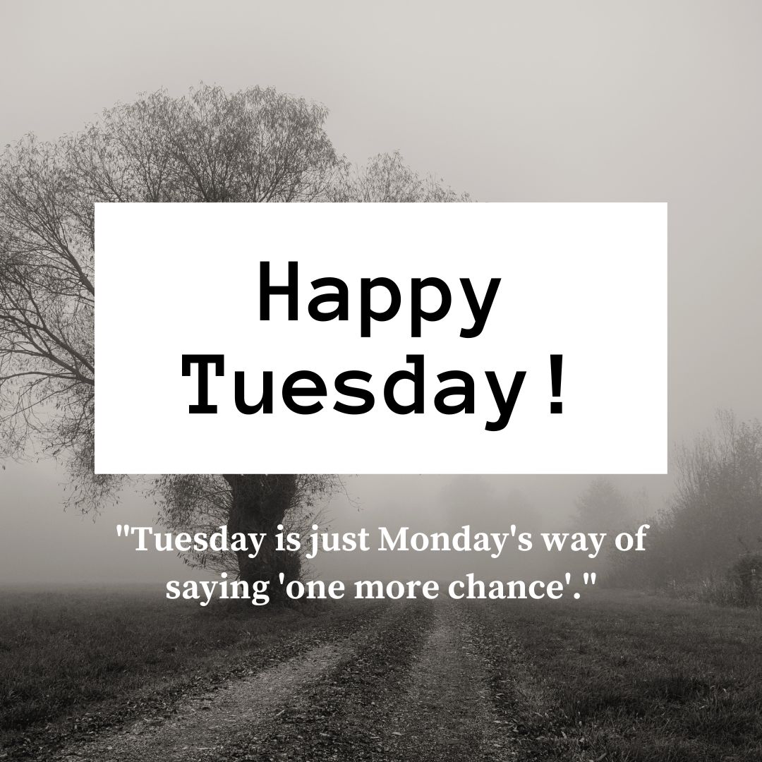 Happy Tuesday Quotes: 220+ Positive Quotes To Start Your Day