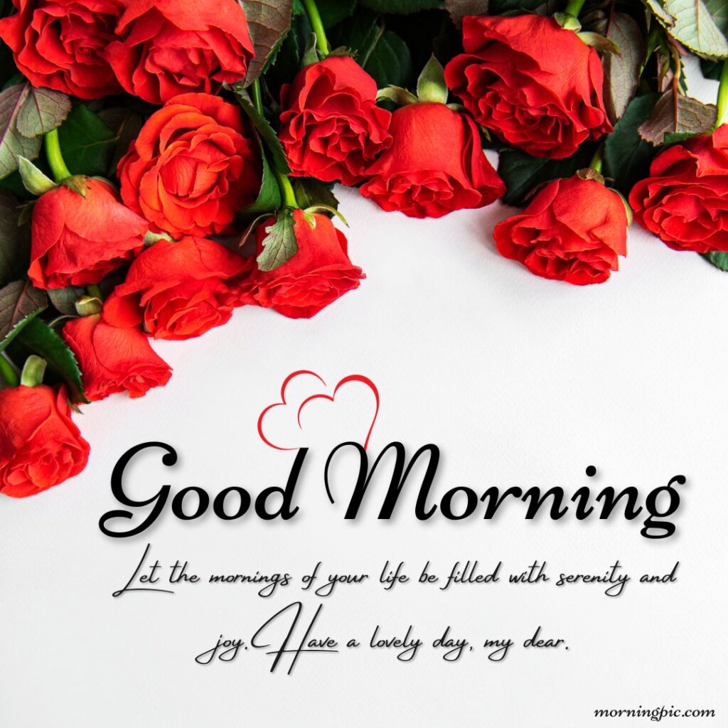 400+ Good Morning Messages For Her That Touches The Heart