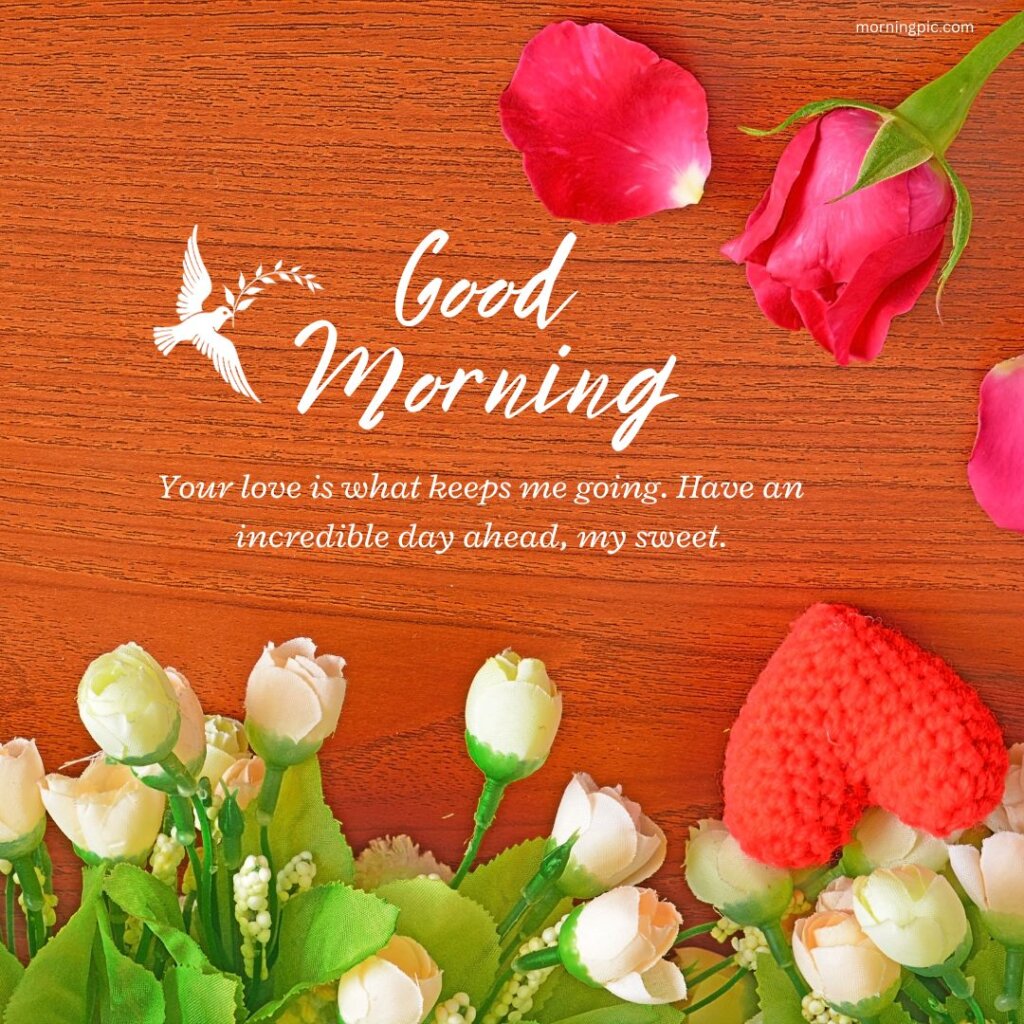 400+ Good Morning Messages For Her That Touches The Heart