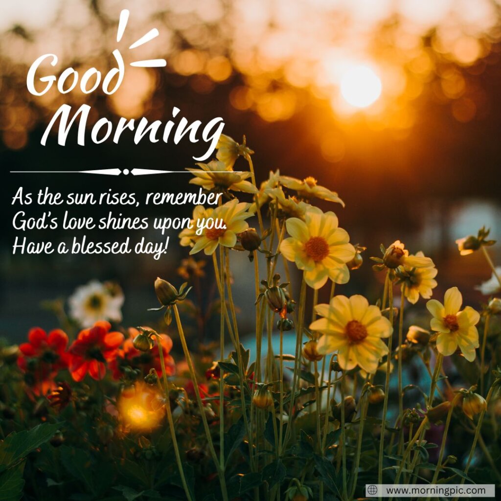 400+ Heart Touching Good Morning Messages For Friends