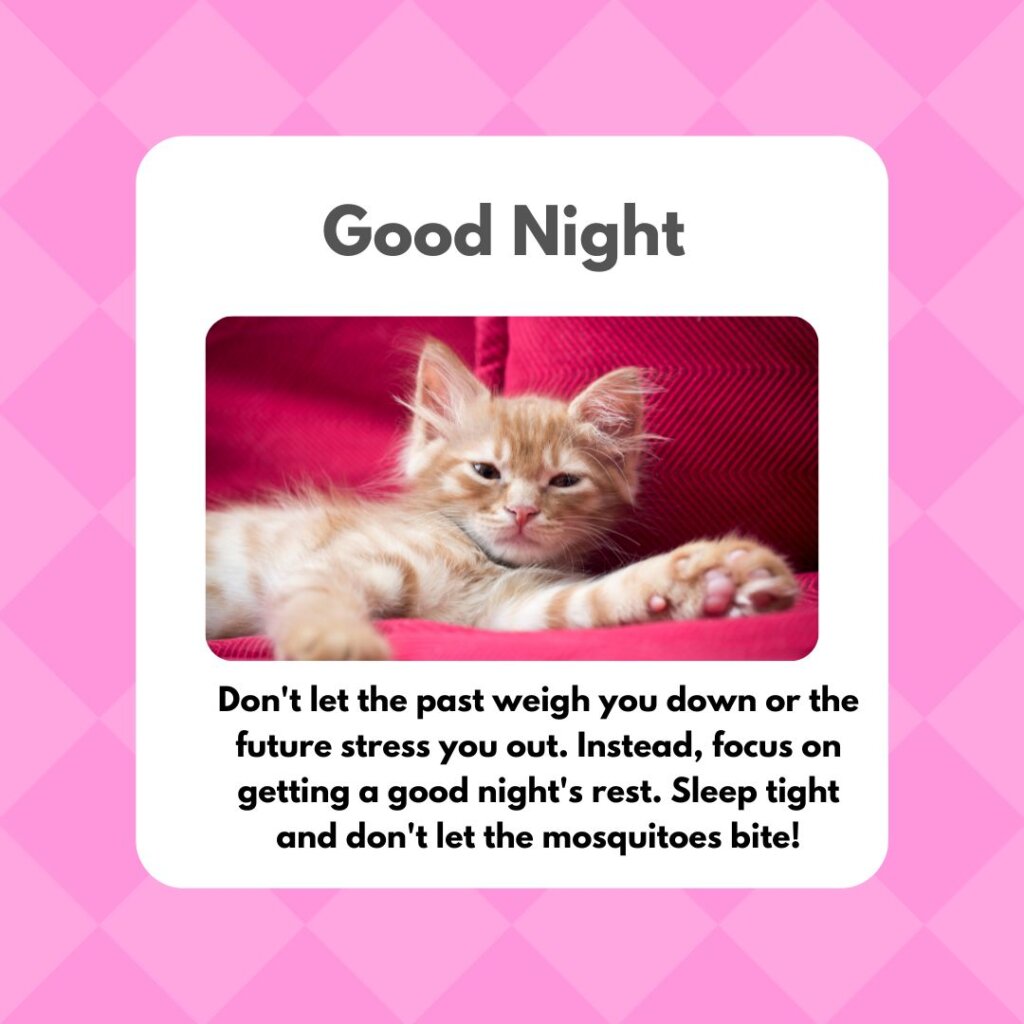 funny goodnight quotes