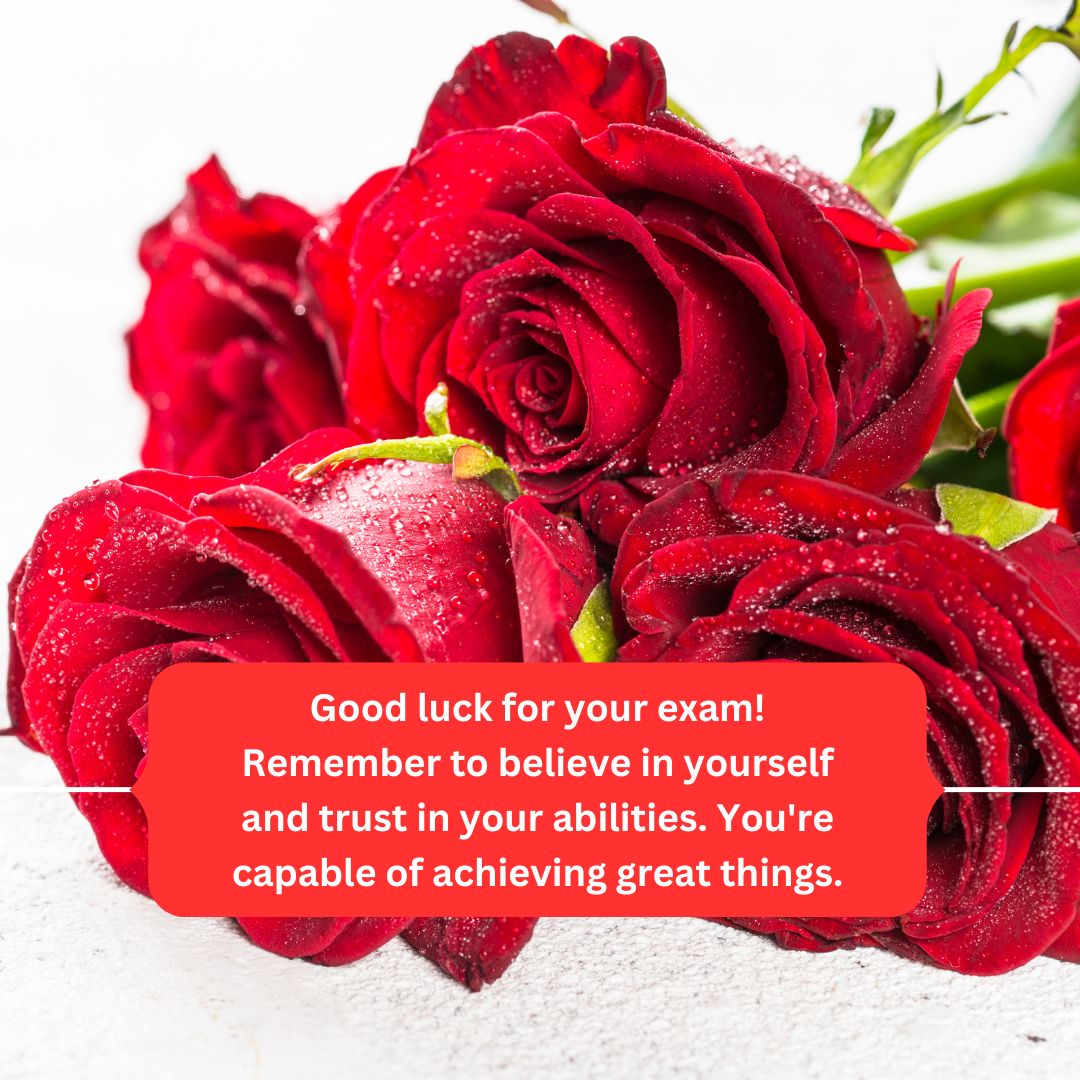 250 Exam Wishes The Art Of Uplifting Someone s Spirit