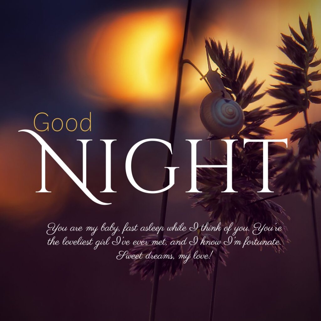 150+ Good Night Messages For Girlfriend: Best Wishes For Her