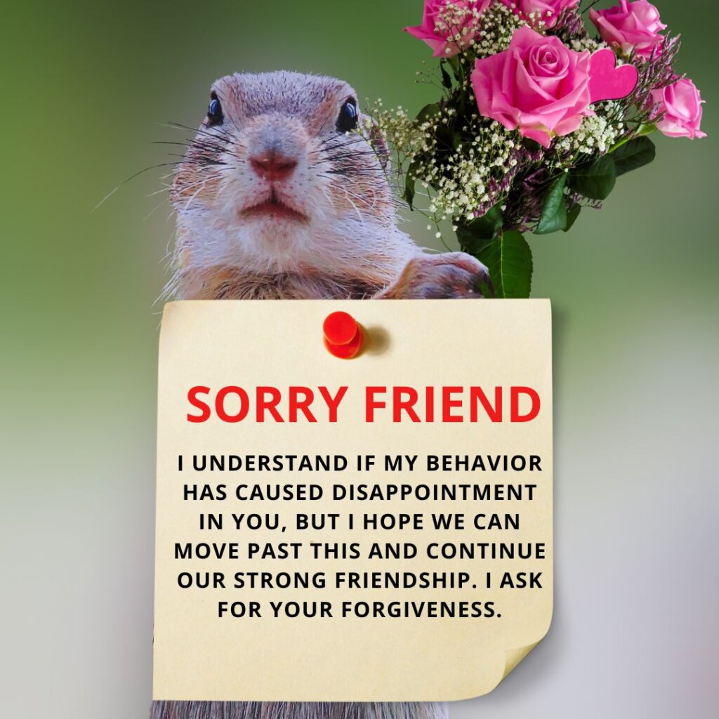 130+ Sorry Messages For Friends: Best Apology Quotes