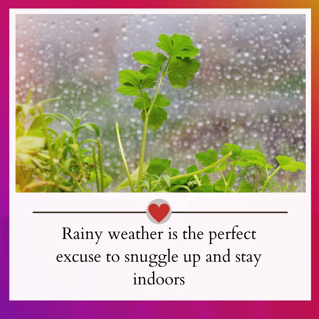 rain-vibes-350-best-rain-captions-for-rainy-day-photos