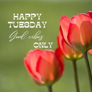 150+ Good Morning Happy Tuesday Images: Tuesday’s Best!