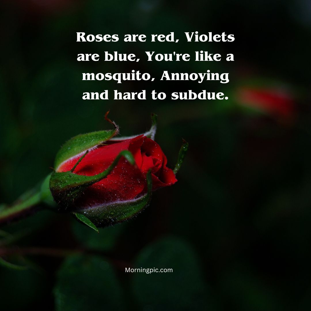 150-funny-roses-are-red-poems-that-will-you-lol-too